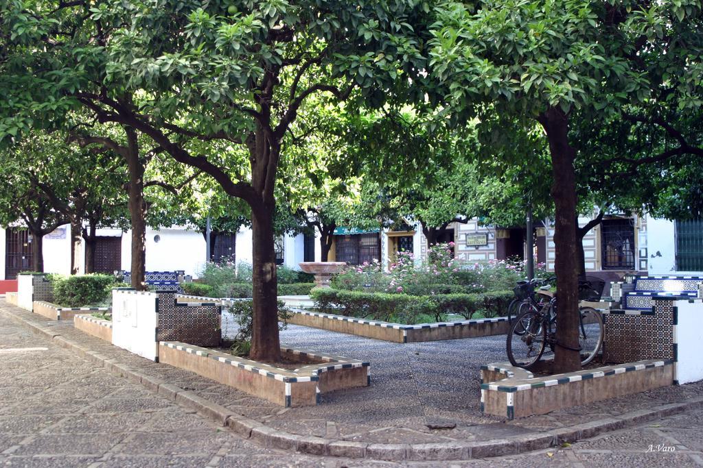 Hotel Dona Lina Sevilla Dış mekan fotoğraf