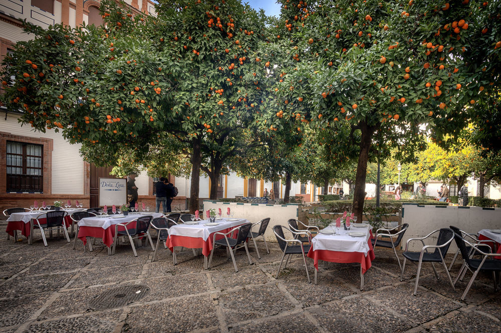 Hotel Dona Lina Sevilla Dış mekan fotoğraf
